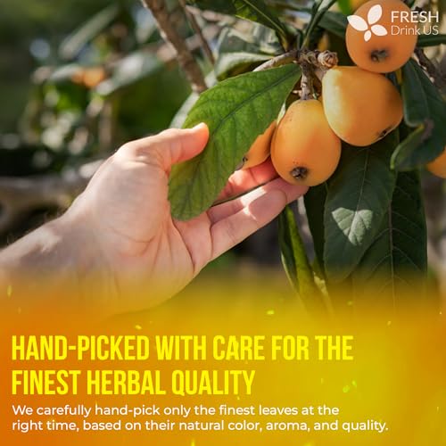 Image of FreshDrinkUS, Premium 8oz Loquat Leaves | Dried Loquat Loose Leaf Tea | Eriobotrya japonica | Naturally Dried, Cut & Sifted | Herbal Tea Ingredient. Sugar-Free. Caffeine-Free. Vegan