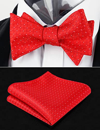 Image of Alizeal Mens 2pcs Solid Self-tied Bow Tie Set