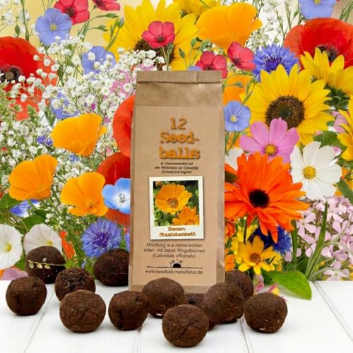 Seedball Bienenstaatsbankett 12er Pack Samenbomben mit bienenfreundlichen Wildblumensamen | Blumensamen Made in Germany | Nachhaltig aus der Lebenshilfe-Werkstatt