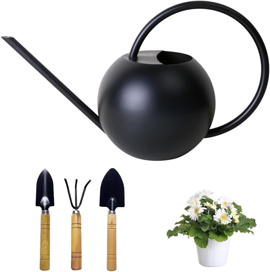 1L Gießkanne Aus Edelstahl - Langer Auslauf Für Zimmerpflanzen Und Sukkulenten