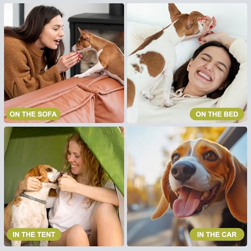 Image of wegreeco Small Dog Diapers Male,Reusable Belly Bands for Male Dogs,Washable Doggie Puppy Male Diapers Wraps,Medium Large Size (5 Pack Large, Earth Tone)