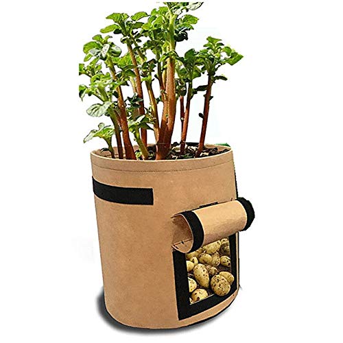 Bolsos de Cultivo de Patata Jardín Tomate Planta Bolsa Tela Saco Spuds Potes de raíz Potes Vegetal Jardín Hidratante Vertical Jardín (Color : Yellow 35x40cm(7Gal), Size : 5 Pcs)