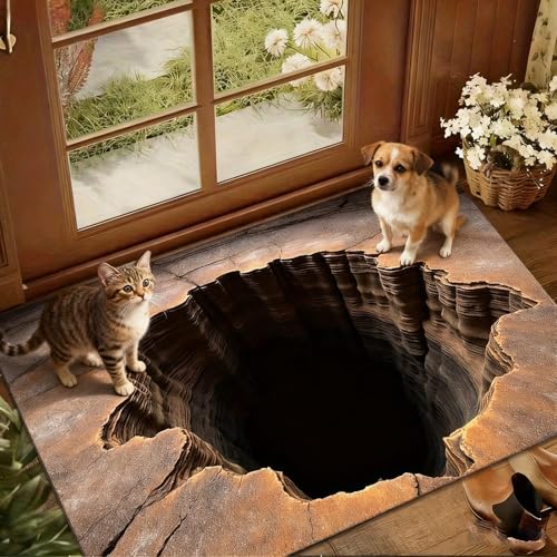 3D Optical Illusion Rug – Hole in Ground