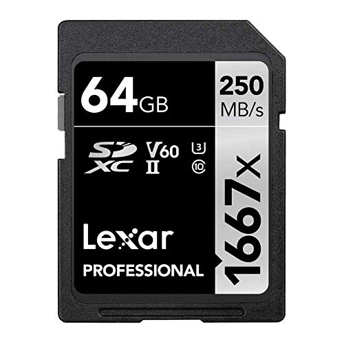 Lexar Professional 1667x