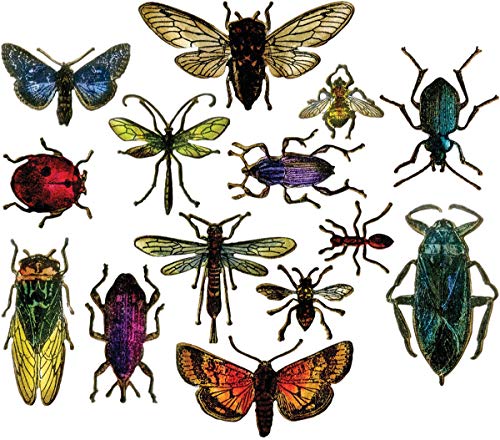 Sizzix matrices de découpe Framelits Entomologie multicolore taille unique - 3