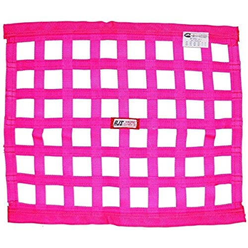 RJS Racing Equipment 10000410 Window Net