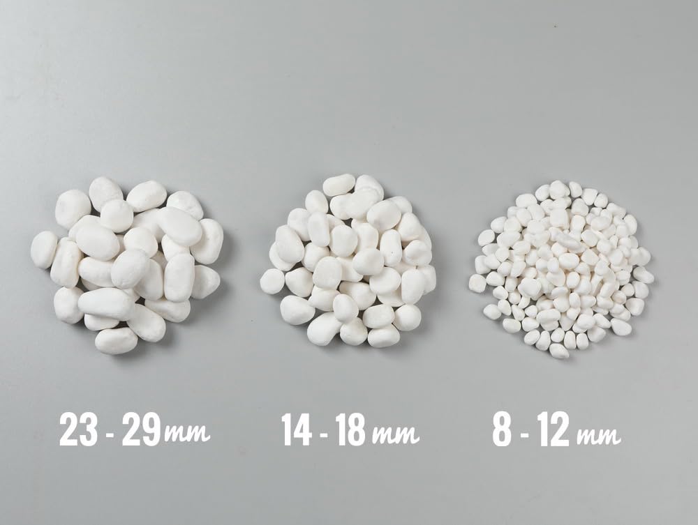 中国美術 白玉石 刻 環 φ8cm 重25g(HA438) 中国美術 白玉石 刻 環 φ8cm 重25g(HA438) - メルカリ