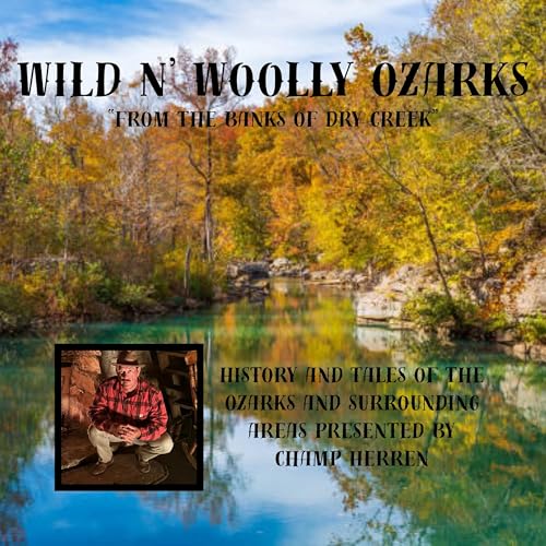 『Disappearance at Dogwood –An Ozarks Cold Case Solved!』のカバーアート