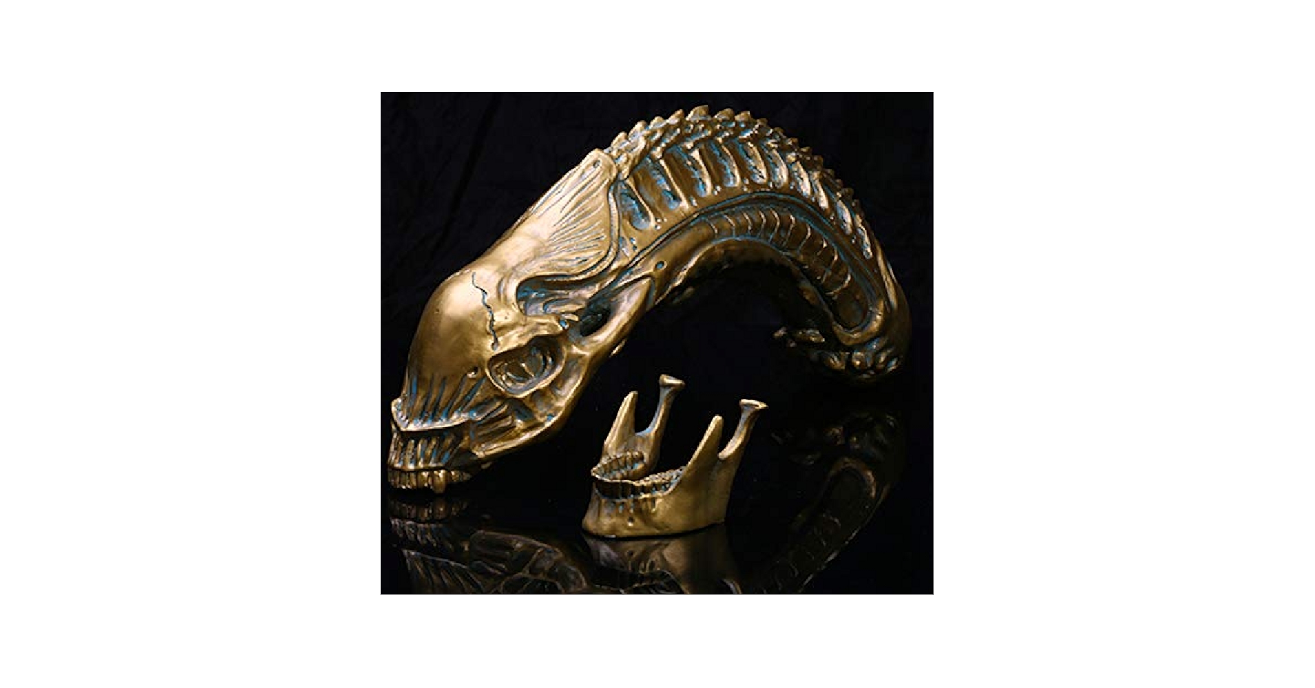 Amazon.co.jp: エイリアンスカルフィギュアエイリアンスケルトン