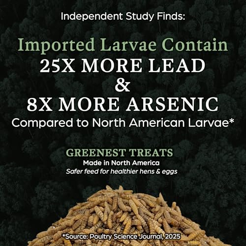 Dried Black Soldier Fly Larvae Chicken Treats for Hens, Duck, Wild Birds, Lizard, Tortoise, Fish - All Natural High Protein Dried Mealworms Alternative | Made in Canada - Image 3