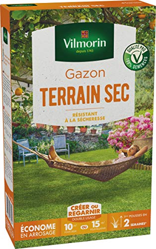 Gazon terrain sec boite 250 g semence pelouse résistante soleil
