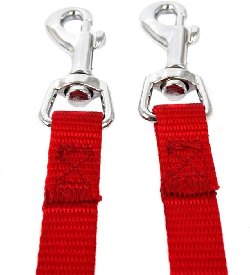Basic Leashes 2pcs Nylon Dog Leash Double Walking Leashes Couple 2 Way V Shape Collar Lead Leashes for 2 Dogs Puppy Pet Accessories for Pet