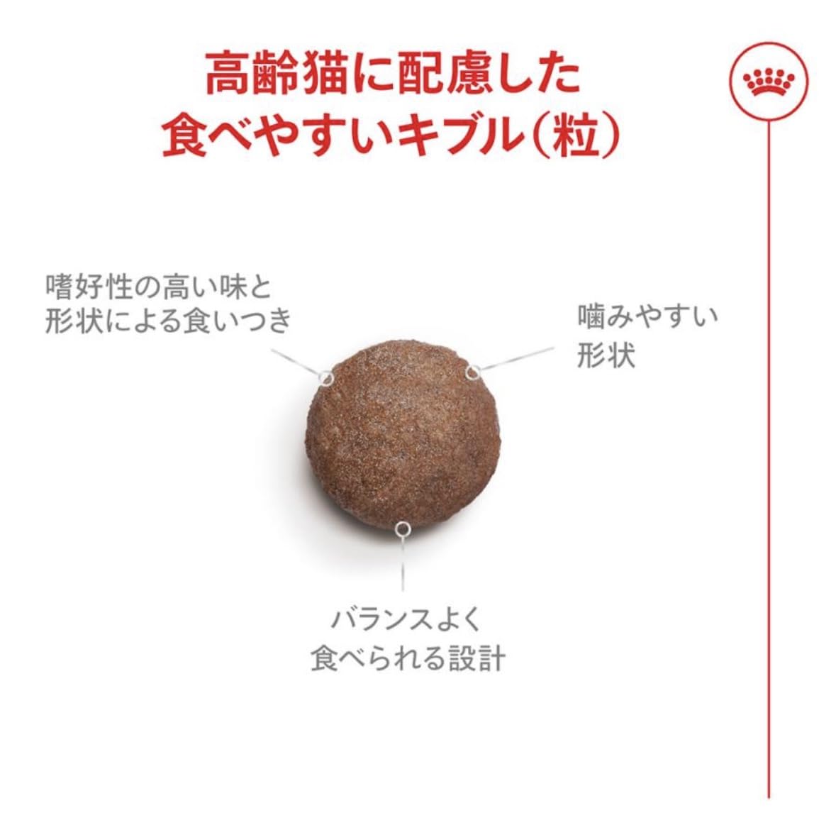 ロイヤルカナンエイジング （11歳以上の猫専用フード 高齢期猫用） 11+ (2kg) - 5