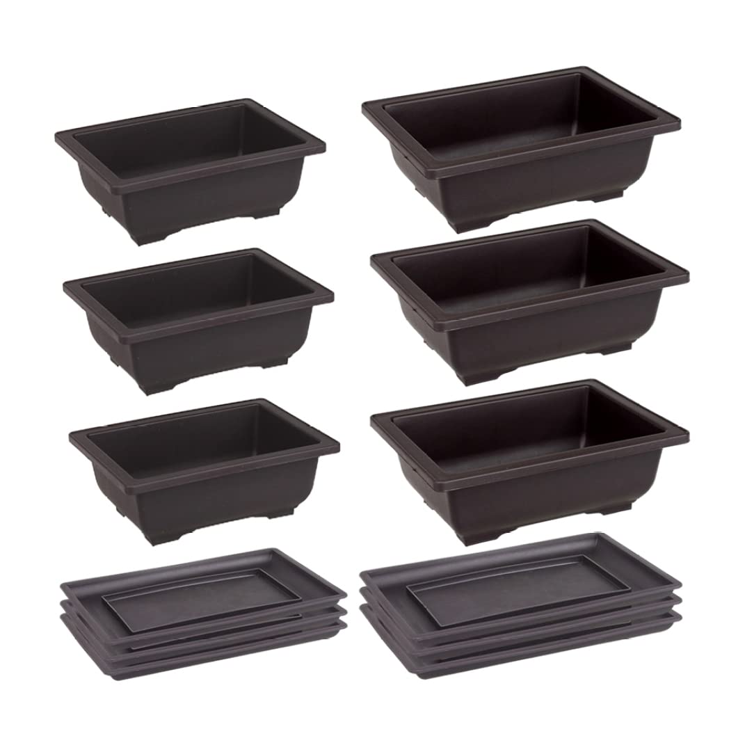 Pots d'entraînement de bonsaï pour balcon et terrasse : lot de 6 jardinières avec plateau