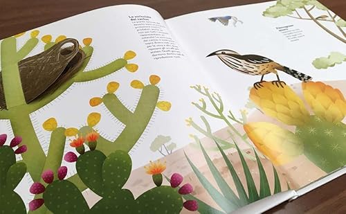 Nidi Incredibili. Ediz. A Colori - 3