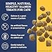 Ernie Els All Natural Salmon Cat Treats - Premium Soft Cat Treats for Healthy Snacking, Training and Rewards - 3 Ounce (Pack of 2)