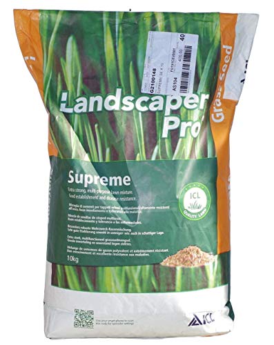 Piretro Semi Sementi Per Prato Professionale PRATO SOLEGGIATO - Confezione Da 5 Kg, Per Zone Soleggiate O Parzialmente Ombreggiate Semi Prato - Foto 4