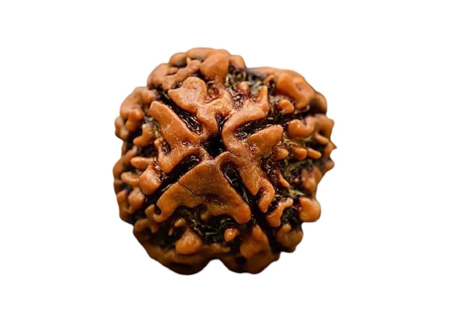4 Mukhi Rudraksha Original Certified 4 मुखी रुद्राक्ष Chaar Mukhi Rudraksha Blessed By Lord Shiva 4 Mukhi Rudraksha Nepali Char Mukhi Rudraksha Original Pendant-image-10
