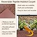 BNOSDM Reptile Carpet Pet Desert Mat Terrarium Liner Bedding Mats Reversible Substrate for Lizard Gecko Tortoise Snake Chameleon Bearded Dragon 39.3x19.6IN