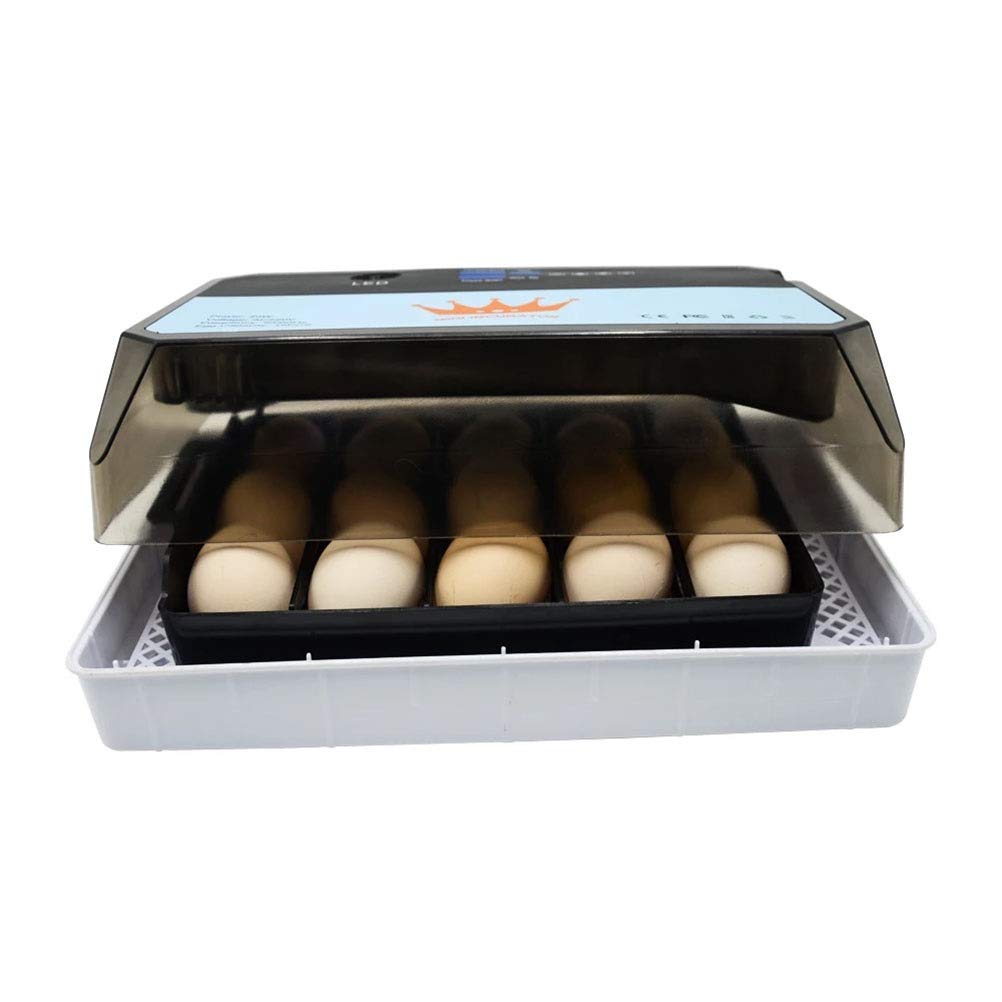 15 Uova Incubatore Automatico Uova Controllo della Temperatura Schermo LED Piccolo Generale Digital Allevatore Per Pollo Anatra Quaglia Uccelli Turchia
