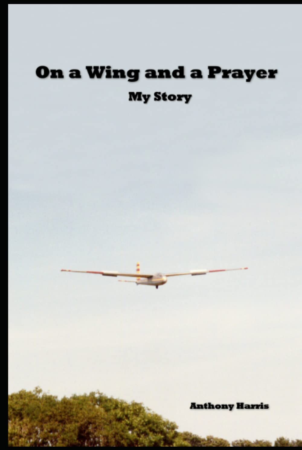 On A Wing And A Prayer: My Story