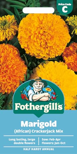 Fothergills Marigold (African) Crackerjack Mixed Flower Seeds 250 Seeds Sow: Feb-Apr Orange/Yellow