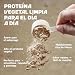 Imagen de Proteína de Guisante Aislada en Polvo 1 kg 84% Proteína Vegana Sin Lactosa