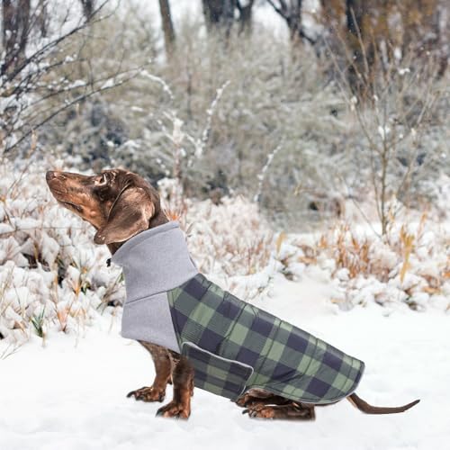 Geyecete Dackel Mantel Winter, Warmer Hunde wintermantel,wasserdichter Hundemantel mit Leinenloch,Hundepullover Hundemantel für kleine Hunde Dackel-Grün-M