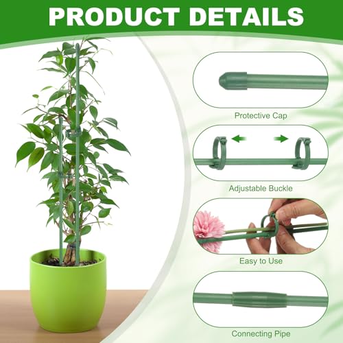 Tige unique de support pour orchidée rose et tomate en pot de balcon