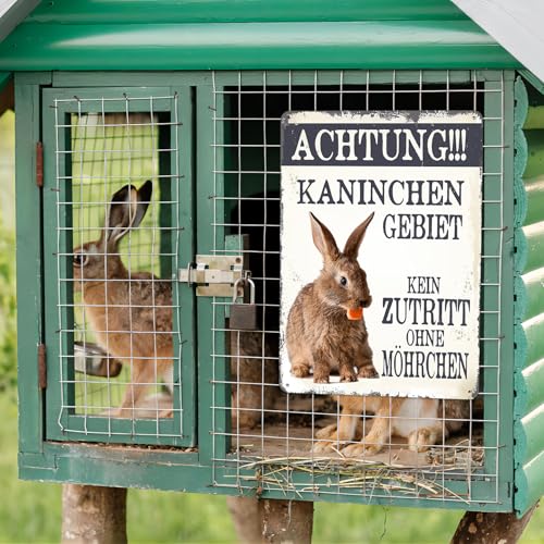 Achtung Blechschild-Kaninchen Kein Zutritt Schild,Achtung Metallschild Fun Retro Deko 20x30cm