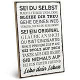 ARTFAVES® Holzschild mit Spruch - Sei du selbst - Mache Fehler und lerne | Shabby Chic Vintage Schild | Deko Geschenk zum Thema Glücklichsein, Achtsamkeit | Größe: 19 x 28 cm