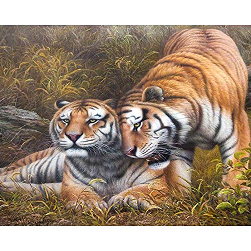 XCQHZYQ Peinture par numéros Kit Tigre Bricolage Peinture à l'huile pour débutants Toile avec Brosse 40x50 cm Cadeau Décoration de Maison sans Cadre Cover