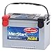 Delphi BU9078 MaxStart AGM Premium Automotive Battery, Group Size 78