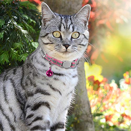 TagME Reflektierend Katzenhalsband mit Glöckchen und Sicherheitsverschluss, Personalisiert ID Namen, Verstellbar Halsband Katze Kitten, 1 STÜCK, Pink