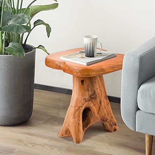 HOEGMST Small Side Table, Unique Design Live Edge Wood Stool, Freeform Natural Plant Stand for Garden, Yard, Living Room, Bedroom