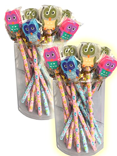 48 x Colourful Owl matite HB con gomma da