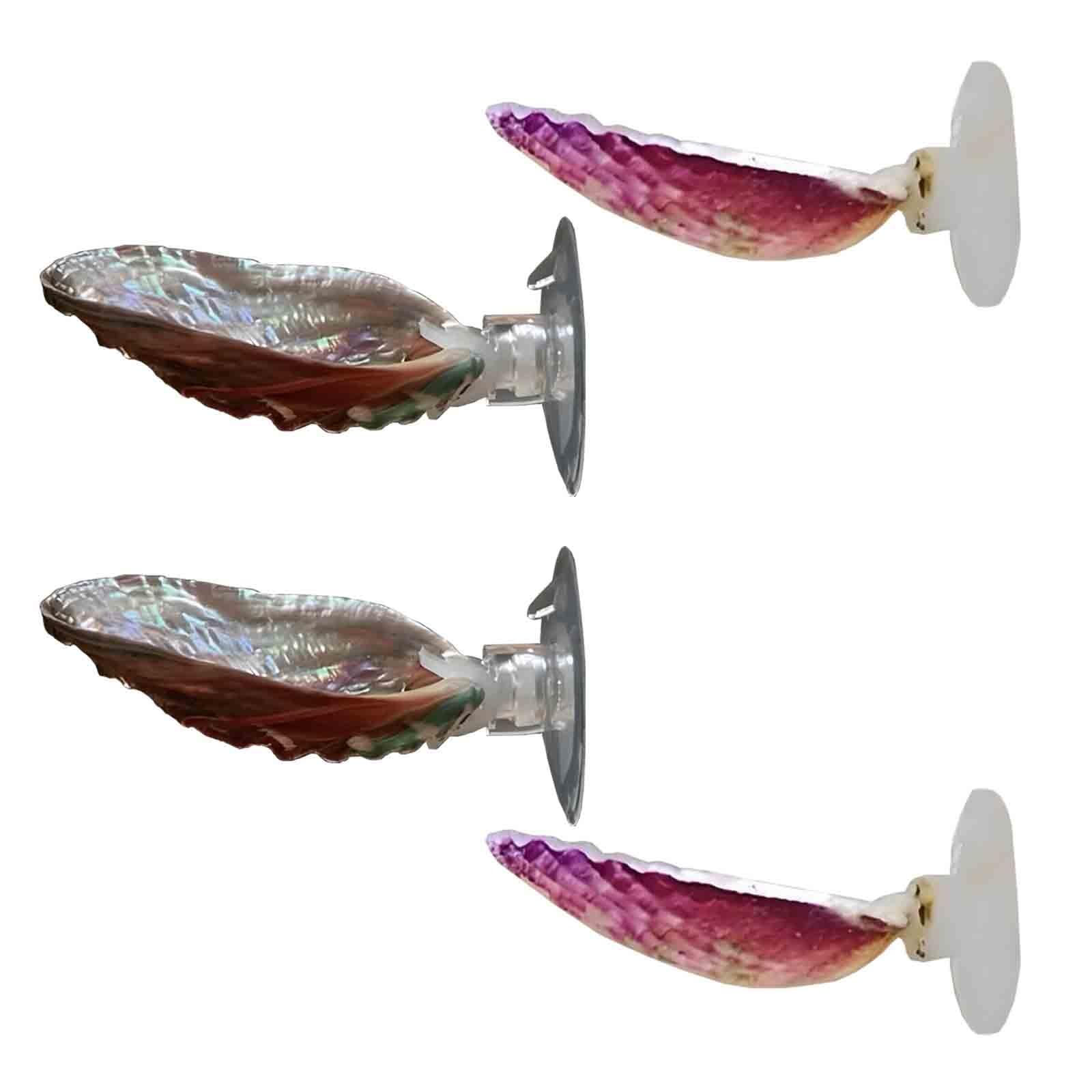 HAJHI Natural Scallops Betta Fish Tank Decor Suction Cups Betta Hammock Comfortable Resting Area Betta Bed for Sleeping Hiding Playing(Mixed - 4 pcs)