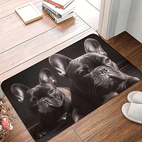 Fußmatte mit französischer Bulldogge, bedruckt, für den Innen- und Außenbereich, Flanell, leicht zu reinigen, rutschfest, Eingangsteppich für die Eingangstür innen und außen