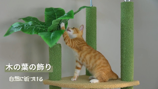 Amazon | PETEPELA(ぺテぺラ) 【在庫一掃】 キャットタワー 突っ張り