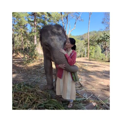 泰國 &times; 台灣｜生活記事 Thailand &times; Taiwan | Life Notes cover art