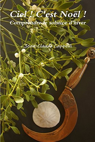 Télécharger Ciel ! C'est Noël ! PDF