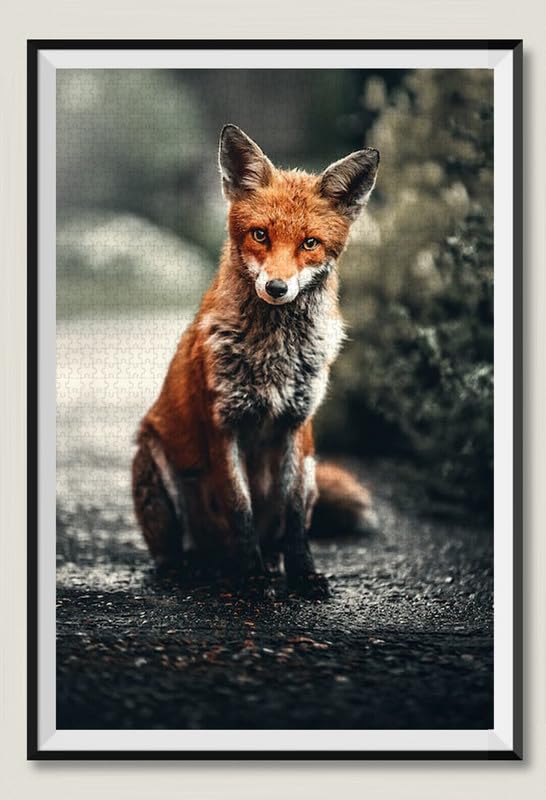 Roadside Fox - Puzzle de madera de 2000 piezas - Puzzle resistente y ajustado, incluye póster
