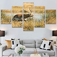 SIGNWIN 5 Panel Canvas Wall Art Animals Deer Modern Artwork for Home Decorations Ready to Hang - 60
