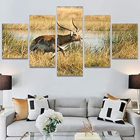 SIGNWIN 5 Panel Canvas Wall Art Animals Deer...