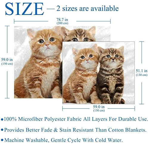 Couvertures en microfibre chaudes motif chats animaux couverture de sieste - 4