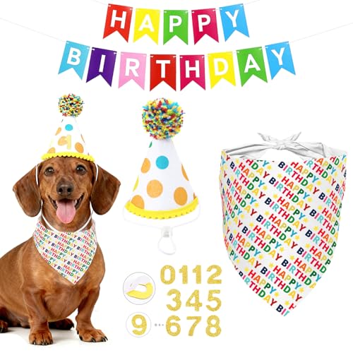 50% Off Dog Birthday Party Decorations Set with Bandana & Hat