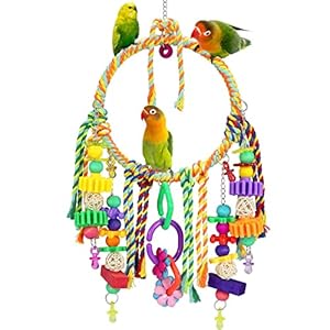 TeTupGa Bird Toy,Bird Swing Toys Hanging Cotton Rope Rings Parrot Perch with Colorful Chewing Toys for Cockatiel, Lovebirds, Finches, Parakeets, Conure and Small Birds
