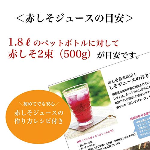 Amazon.co.jp: 赤しそ 赤紫蘇 赤シソ 5kg（250g×20束） 福岡県芦屋町産