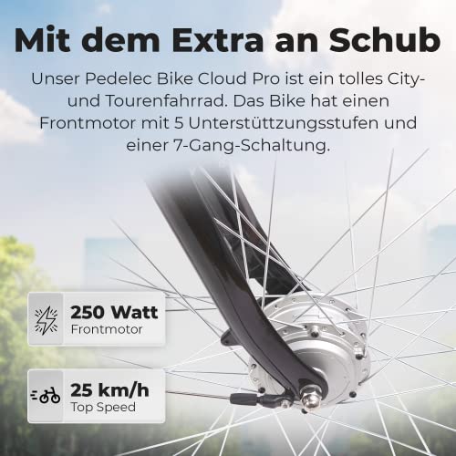 Tretwerk Pedelec, 28 inch, e-bike, dames met fietsmand en 7 versnellingen, Shimano Nexus naafschakeling, elektrische… - Afbeelding 6
