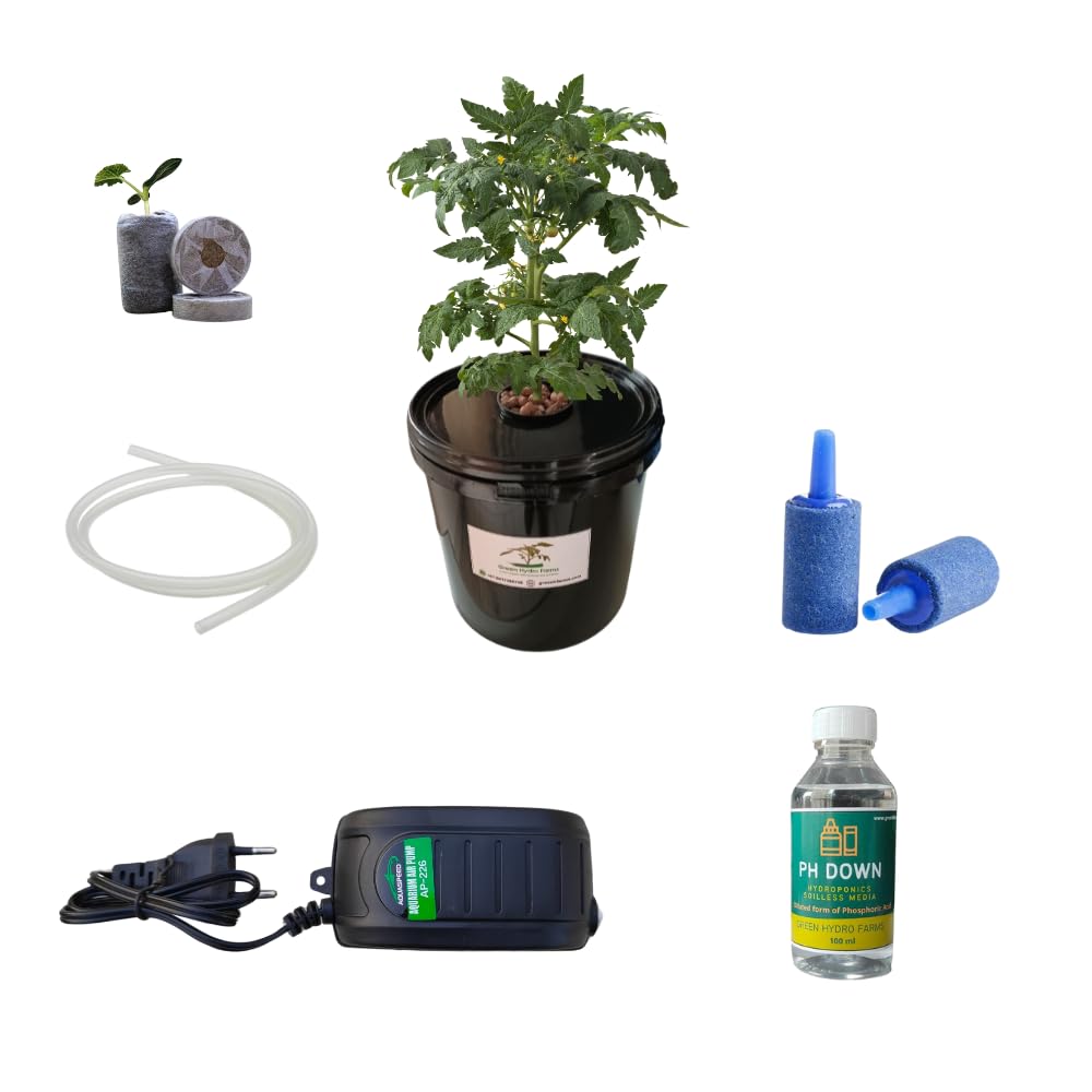 Hydroponic Dutch Bucket System - 10L Black, Food-Grade Material, Algae-Resistant with Lid (B0CSKHSZPV) Amazon Price History, Amazon Price Tracker